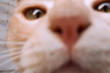 1691149877209.png